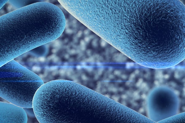What Is Probiotic Skincare?