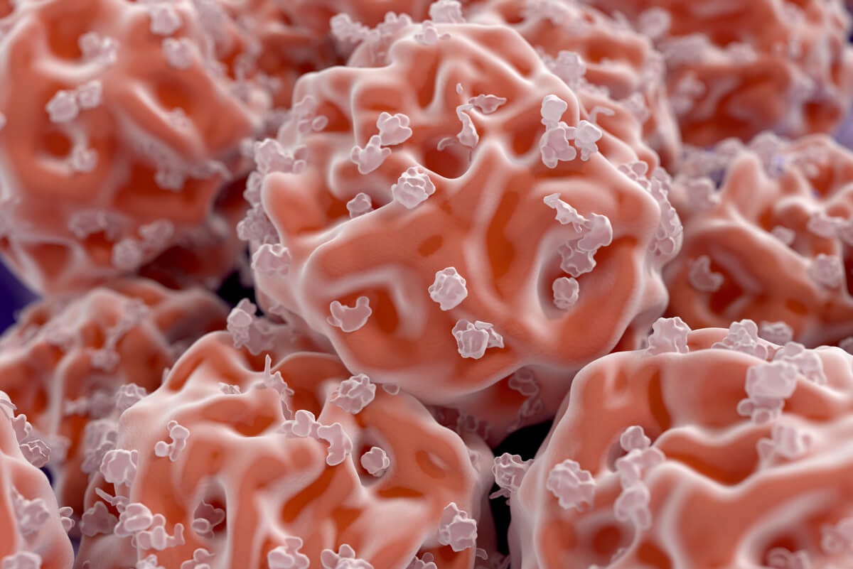 Boosting Skin Repair With Stem Cells