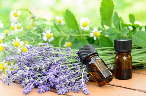 Natural Essential Oils and Your Daily Skin Care Routine 