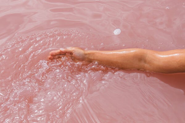 What No One Told You About Rose Water